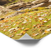 アメリカ、ウェストバージニア、クリフトップ。バブコック州2 ポスター (角)