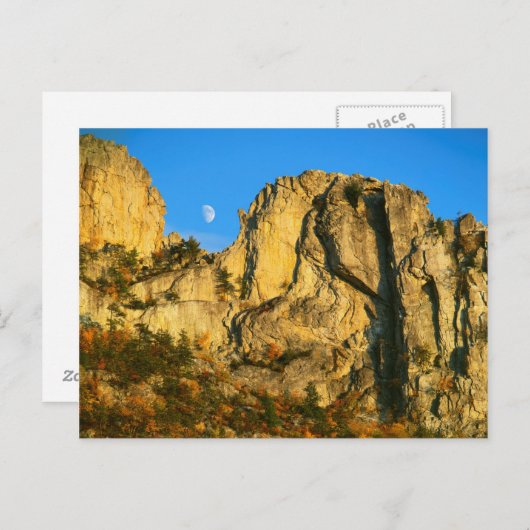 アメリカ、ウェストバージニア、スプルース・ノブ – セネカロック2 ポストカード (正面/裏面)