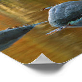 アメリカ、ウェストバージニア、スプルース・ノブ – セネカロック3 ポスター (角)