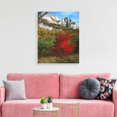 アメリカ、ウェストバージニア、スプルース・ノブ – セネカロック キャンバスプリント (インサイチュ (リビング))