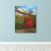 アメリカ、ウェストバージニア、スプルース・ノブ – セネカロック キャンバスプリント (インサイチュ (ウッドフロア))