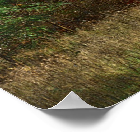 アメリカ、ウェストバージニア、スプルース・ノブ – セネカロック ポスター (角)