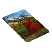 アメリカ、ウェストバージニア、スプルース・ノブ – セネカロック マグネット (右側)