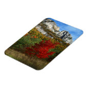 アメリカ、ウェストバージニア、スプルース・ノブ – セネカロック マグネット (左側)