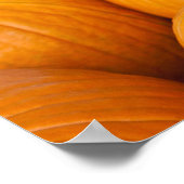 アメリカ、ウェストバージニア、チャールストン。キャピトル2 ポスター (角)