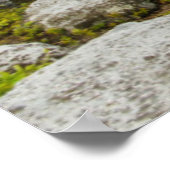 アメリカ、ウェストバージニア、デイビス。ドリーの横 ポスター (角)