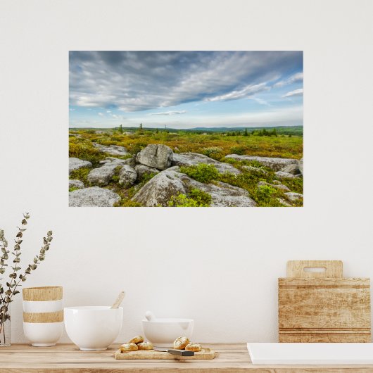 アメリカ、ウェストバージニア、デイビス。ドリーの横 ポスター (キッチン)