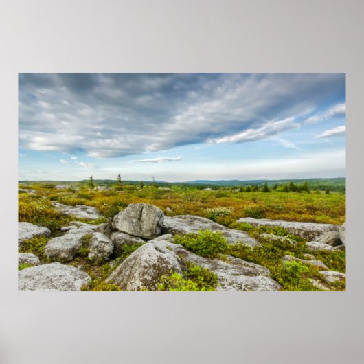 アメリカ、ウェストバージニア、デイビス。ドリーの横 ポスター (正面)