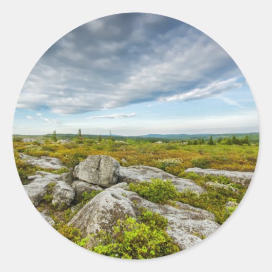 アメリカ、ウェストバージニア、デイビス。ドリーの横 ラウンドシール (正面)