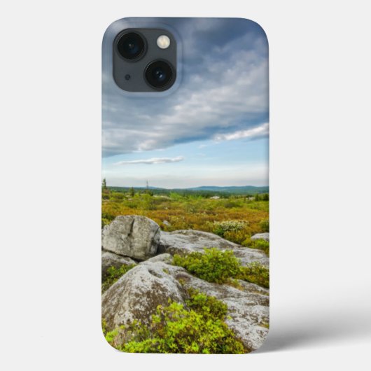 アメリカ、ウェストバージニア、デイビス。ドリーの横 Case-Mate iPhoneケース (裏面)