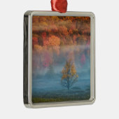 アメリカ、ウェストバージニア、デイビス。ミスティ·バレーと メタルオーナメント (右)