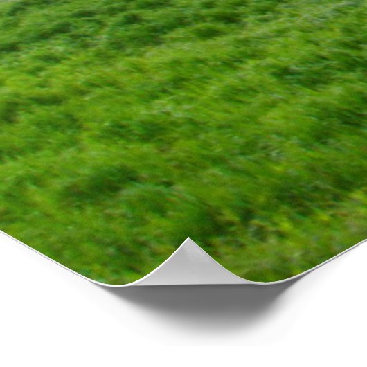 アメリカ、ウェストバージニア、デイビス。横長 ポスター (角)