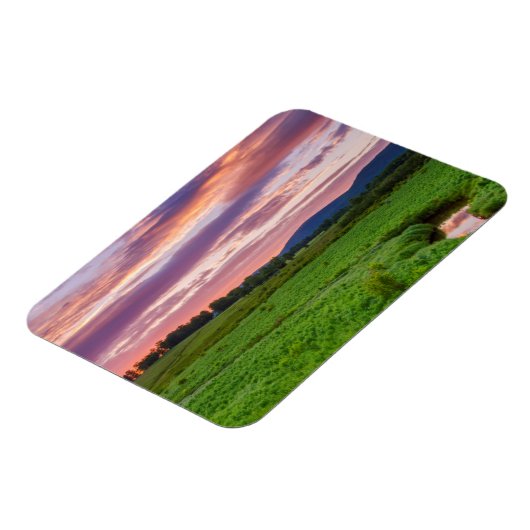 アメリカ、ウェストバージニア、デイビス。横長 マグネット (左側)