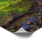 アメリカ、ウェストバージニア、デイビス。横2 ポスター (角)