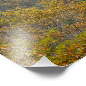 アメリカ、ウェストバージニア、ファイエットビル。ニューリバー フォトプリント            (角)