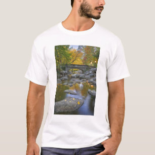 アメリカ オレゴン州 アシュランド リシアパーク 紅葉 Tシャツ