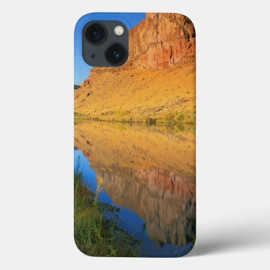 アメリカ オレゴン州 オワイヒー川の峡谷 Case-Mate iPhoneケース (裏面)