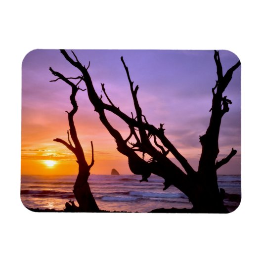 アメリカ オレゴン州 ケープメアーズ 夕焼け マグネット (横)