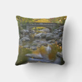 アメリカ、オレゴン、アシュランド、リチアパーク。秋 クッション (裏面)