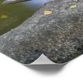 アメリカ、オレゴン、アシュランド、リチアパーク。秋 ポスター (角)