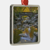 アメリカ、オレゴン、アシュランド、リチアパーク。秋 メタルオーナメント (右)