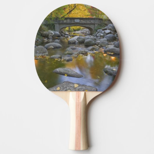 アメリカ、オレゴン、アシュランド、リチアパーク。秋 卓球ラケット (正面)