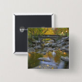 アメリカ、オレゴン、アシュランド、リチアパーク。秋 缶バッジ (正面&裏面)