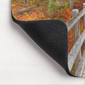 アメリカ、オレゴン、ウィラメッテ国有林。 マウスパッド (コーナー)