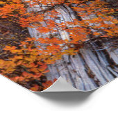 アメリカ、オレゴン、ウィラメット国有林 ポスター (角)