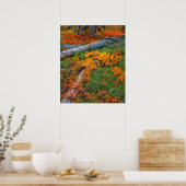 アメリカ、オレゴン、ウィラメット国有林 ポスター (キッチン)