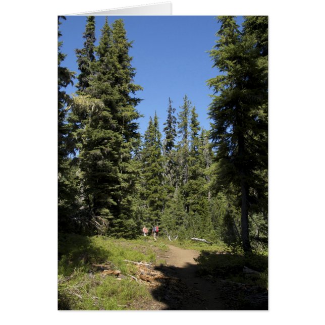 アメリカ，オレゴン，ウィラメット国立森林，秋 (正面)