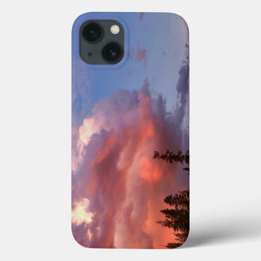 アメリカ、オレゴン、ウンプカ国有林嵐 Case-Mate iPhoneケース (裏面)