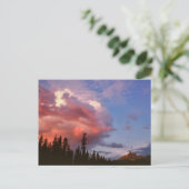 アメリカ、オレゴン、ウンプカ国有林。ストーム ポストカード (スタンド正面)