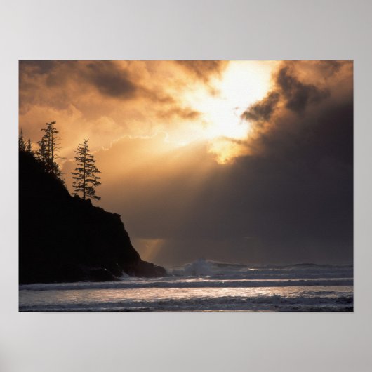 アメリカ，オレゴン，オスワルド西州公園の近く，遅い ポスター (正面)