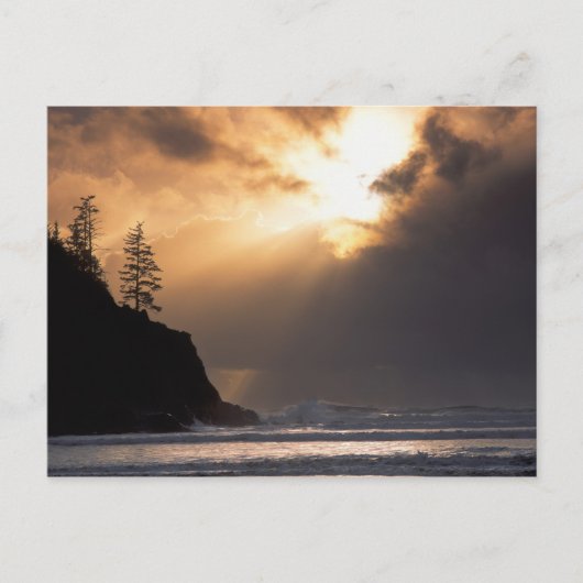 アメリカ,オレゴン,オスワルド西州公園の近く,遅い ポストカード (正面)