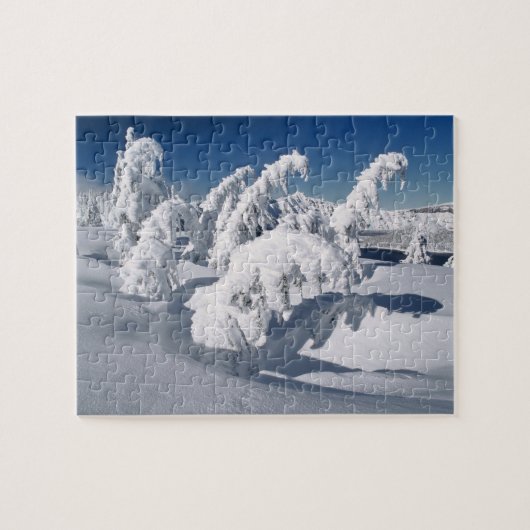 アメリカ、オレゴン、クレーターレイクNP.木が ジグソーパズル (横)