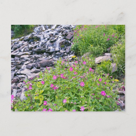 アメリカ、オレゴン、クレーター湖国立公園 ポストカード (正面)