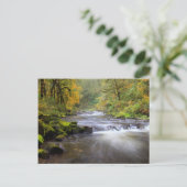 アメリカ、オレゴン、コロンビアリバーゲージ、タンナークリーク ポストカード (スタンド正面)