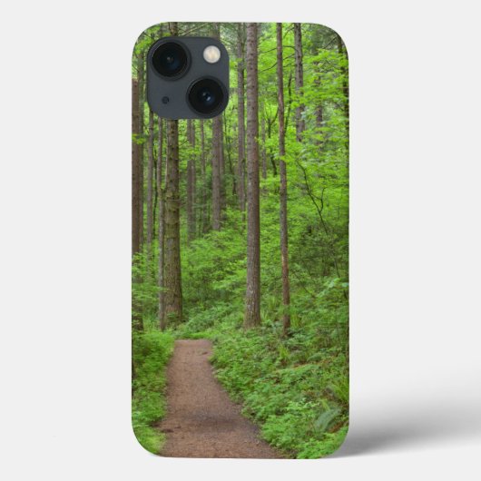 アメリカ、オレゴン、コロンビア川峡谷。エロワ滝 Case-Mate iPhoneケース (裏面)