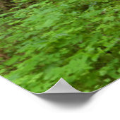 アメリカ、オレゴン、コロンビア川峡谷。Eloah滝 ポスター (角)