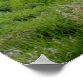 アメリカ、オレゴン、シオ、シマネックブリッジ ポスター (角)