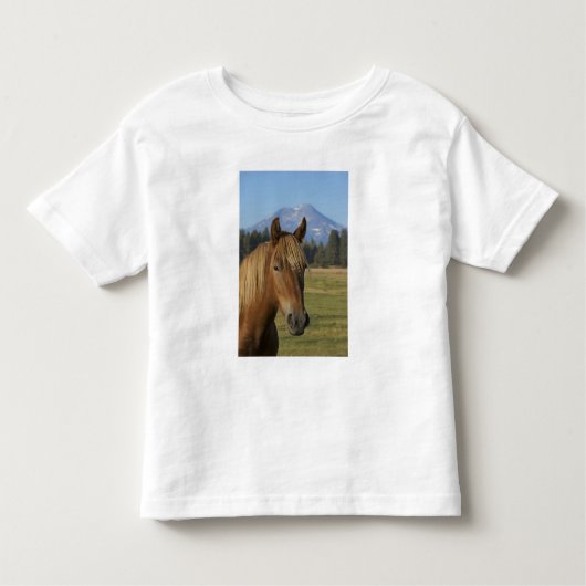 アメリカ、オレゴン、シスターズ、三人姉妹の見解 トドラーTシャツ (正面)