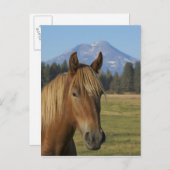 アメリカ、オレゴン、シスターズ、三人姉妹の見解 ポストカード (正面/裏面)