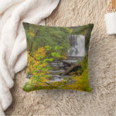 アメリカ，オレゴン，シルバー滝州パーク2 クッション (ブランケット)