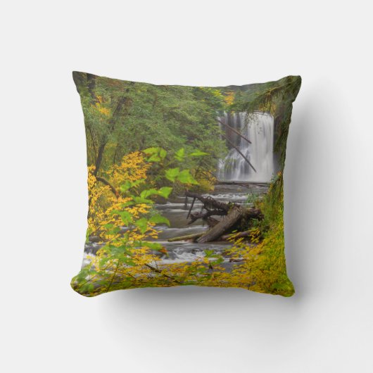 アメリカ，オレゴン，シルバー滝州パーク2 クッション (正面)