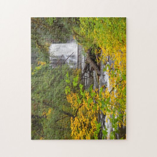 アメリカ,オレゴン,シルバー滝州パーク2 ジグソーパズル (縦)