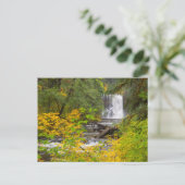 アメリカ、オレゴン、シルバー滝州パーク2 ポストカード (スタンド正面)