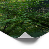 アメリカ，オレゴン，シルバー滝州パーク ポスター (角)