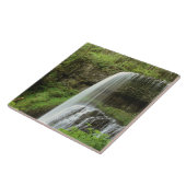 アメリカ、オレゴン、シルバー滝州公園。下 タイル (側面)