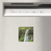 アメリカ、オレゴン、シルバー秋州パーク。下 マグネット (インサイチュ (食洗機))